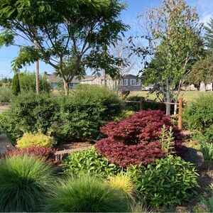 Meet your Posher, Lauri